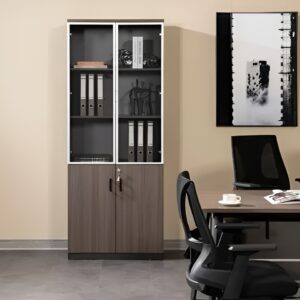 2- Door Modern Wooden Office Cabinet